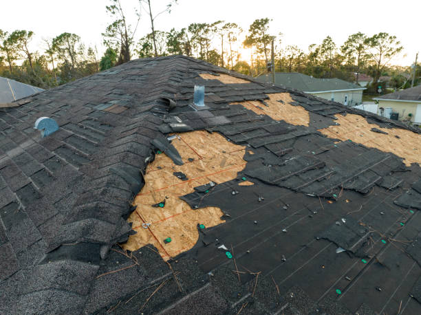 Best Rubber Roofing (EPDM, TPO)  in West Wood, UT