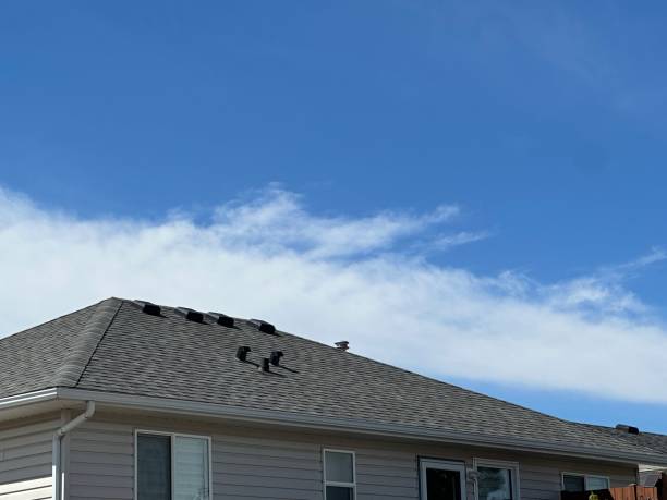 Professional Roofing Services in West Wood, UT